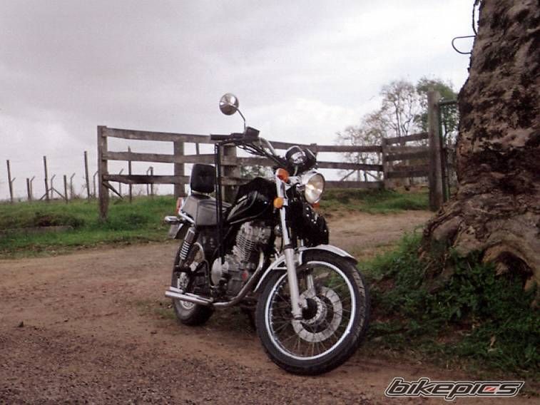 Photo 1119948