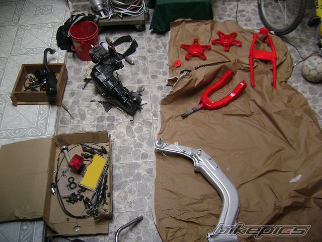 Photo 1120008