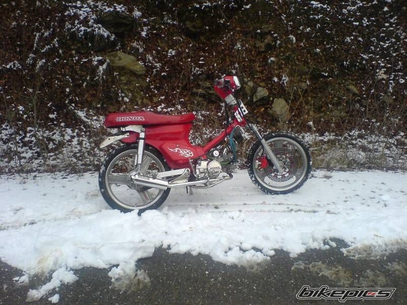Photo 1120026