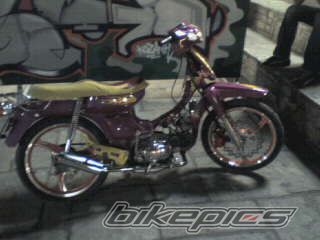 Photo 1120043