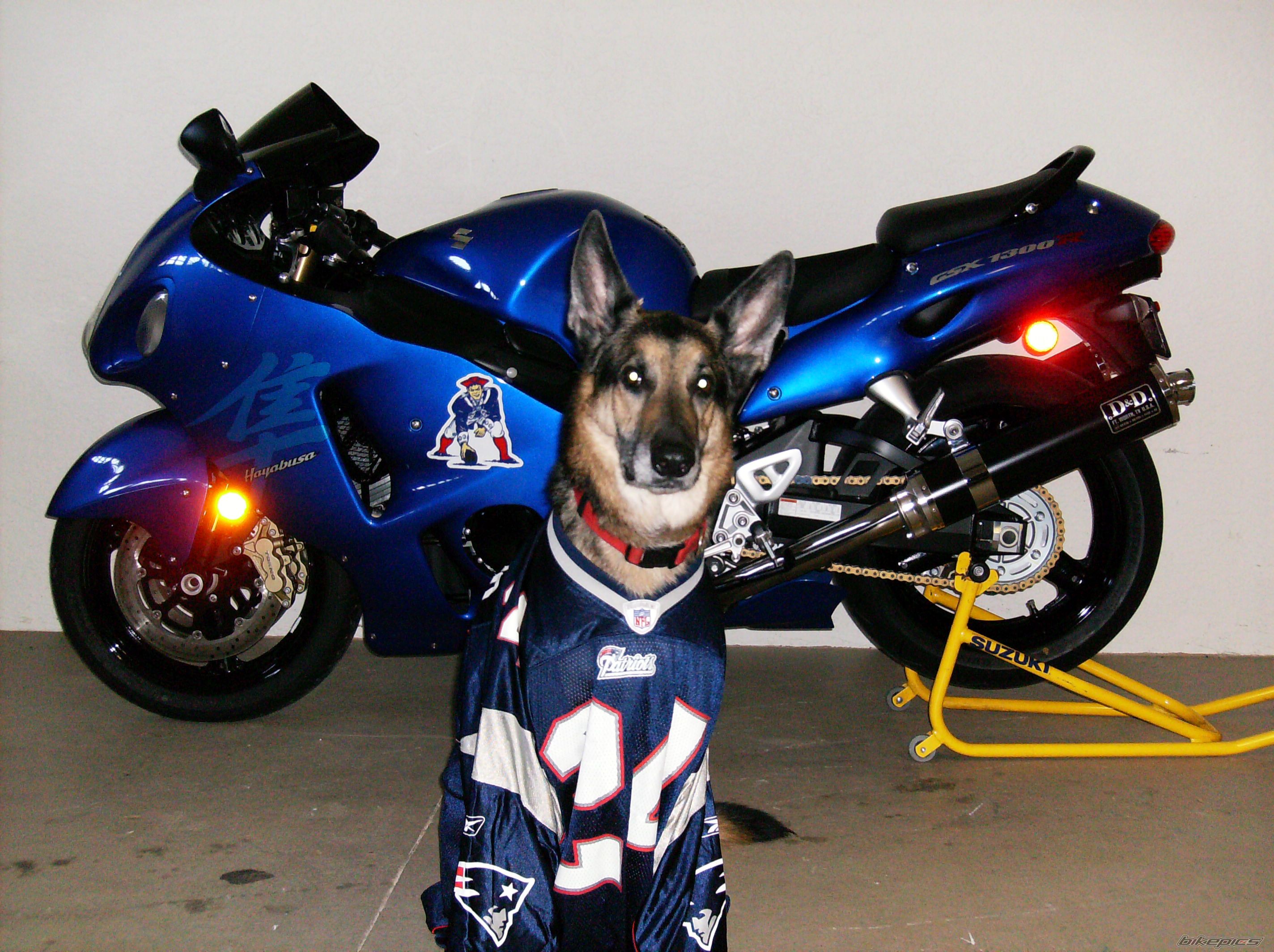 Bike Photo 1120419