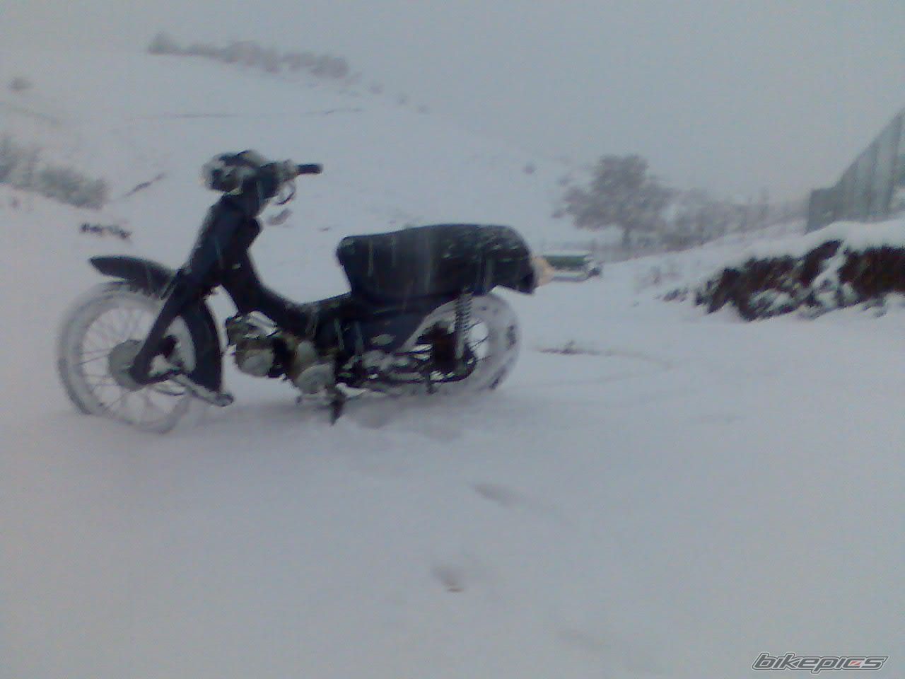 Bike Photo 1120490