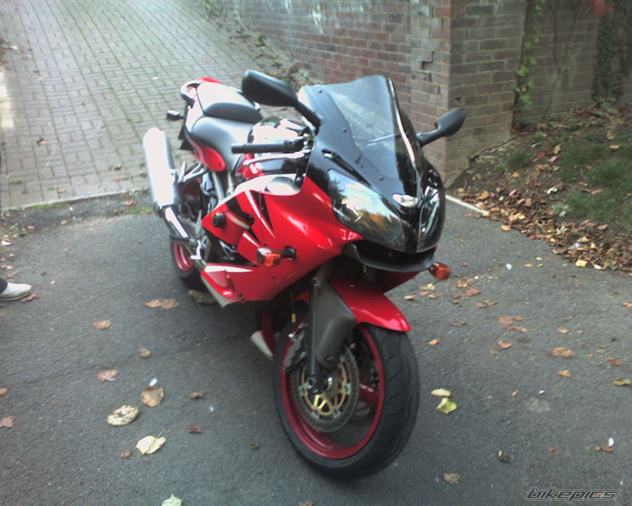 Bike Photo 1120582