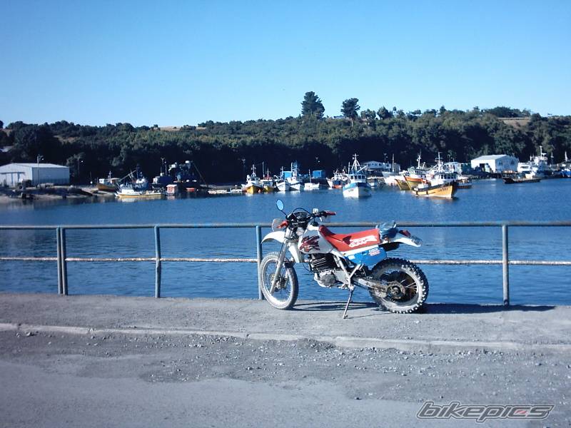 Bike Photo 112060