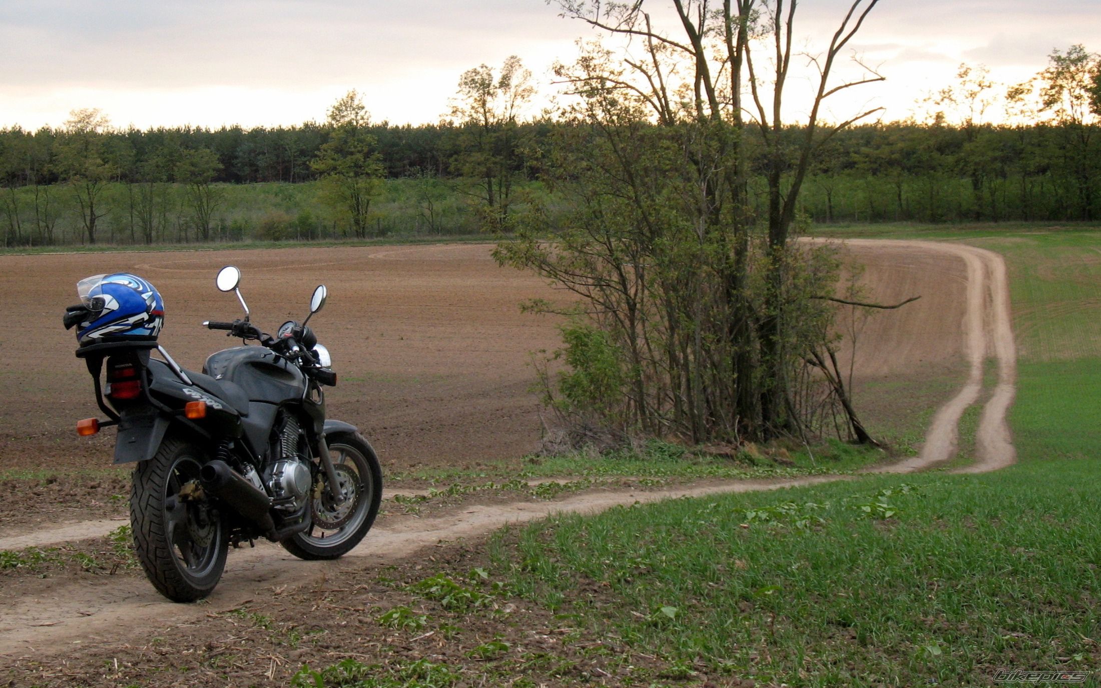 Bike Photo 1120619