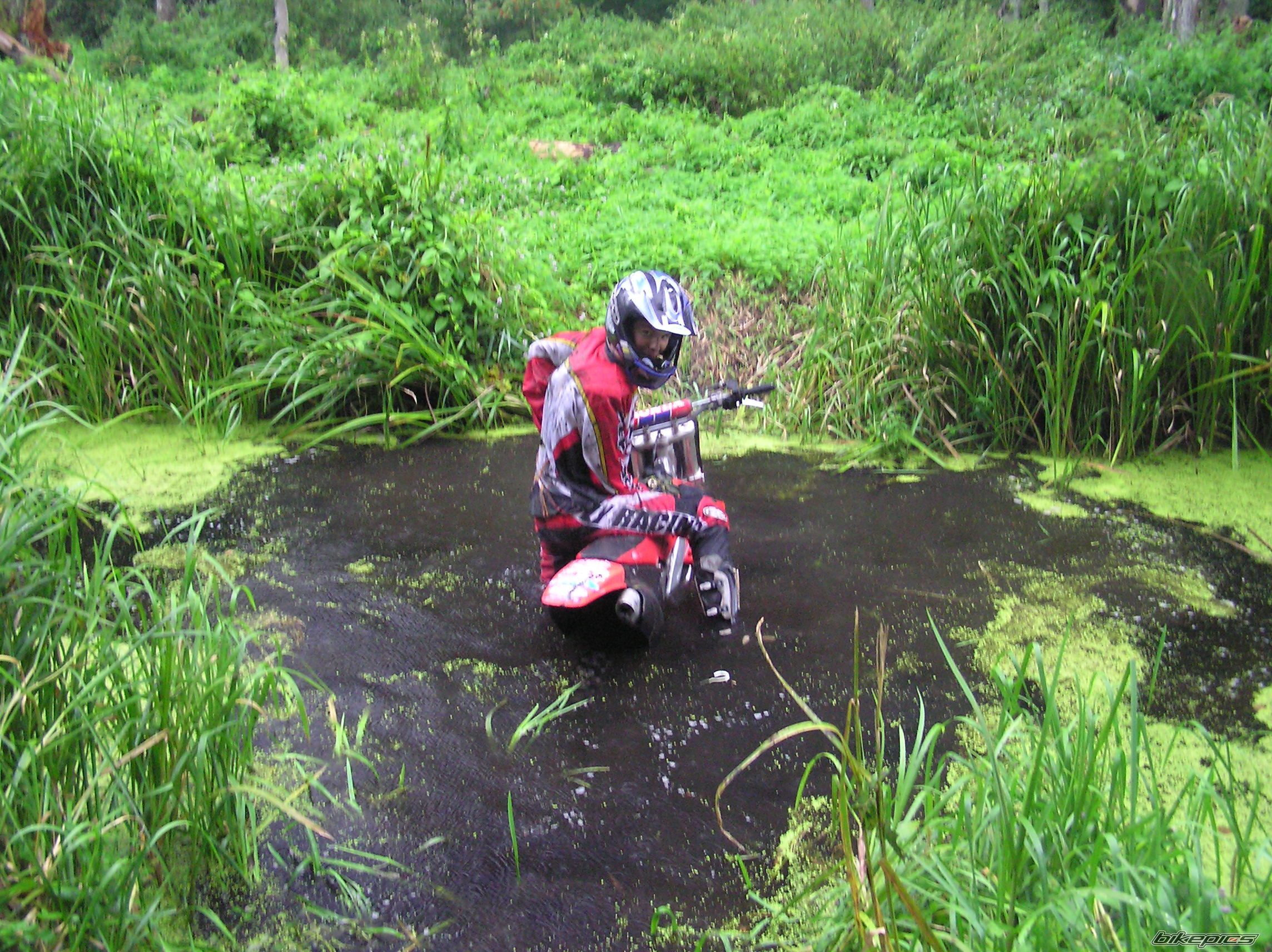 Photo 1120637