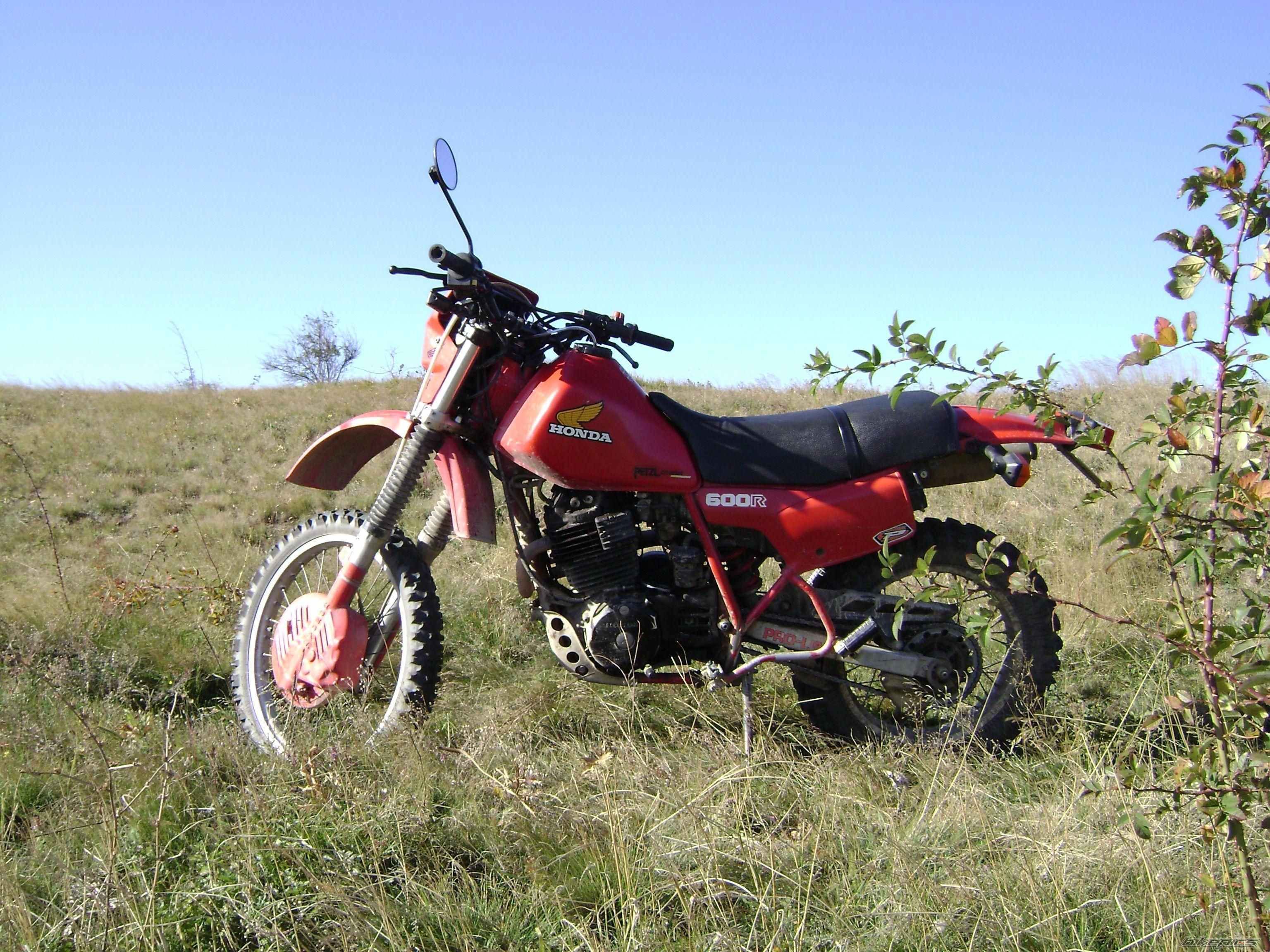 Photo 1120640