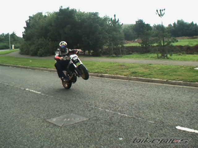 Photo 11207