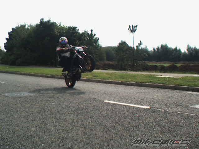 Photo 11208
