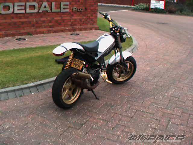 Photo 11209