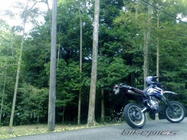 Photo 1120954