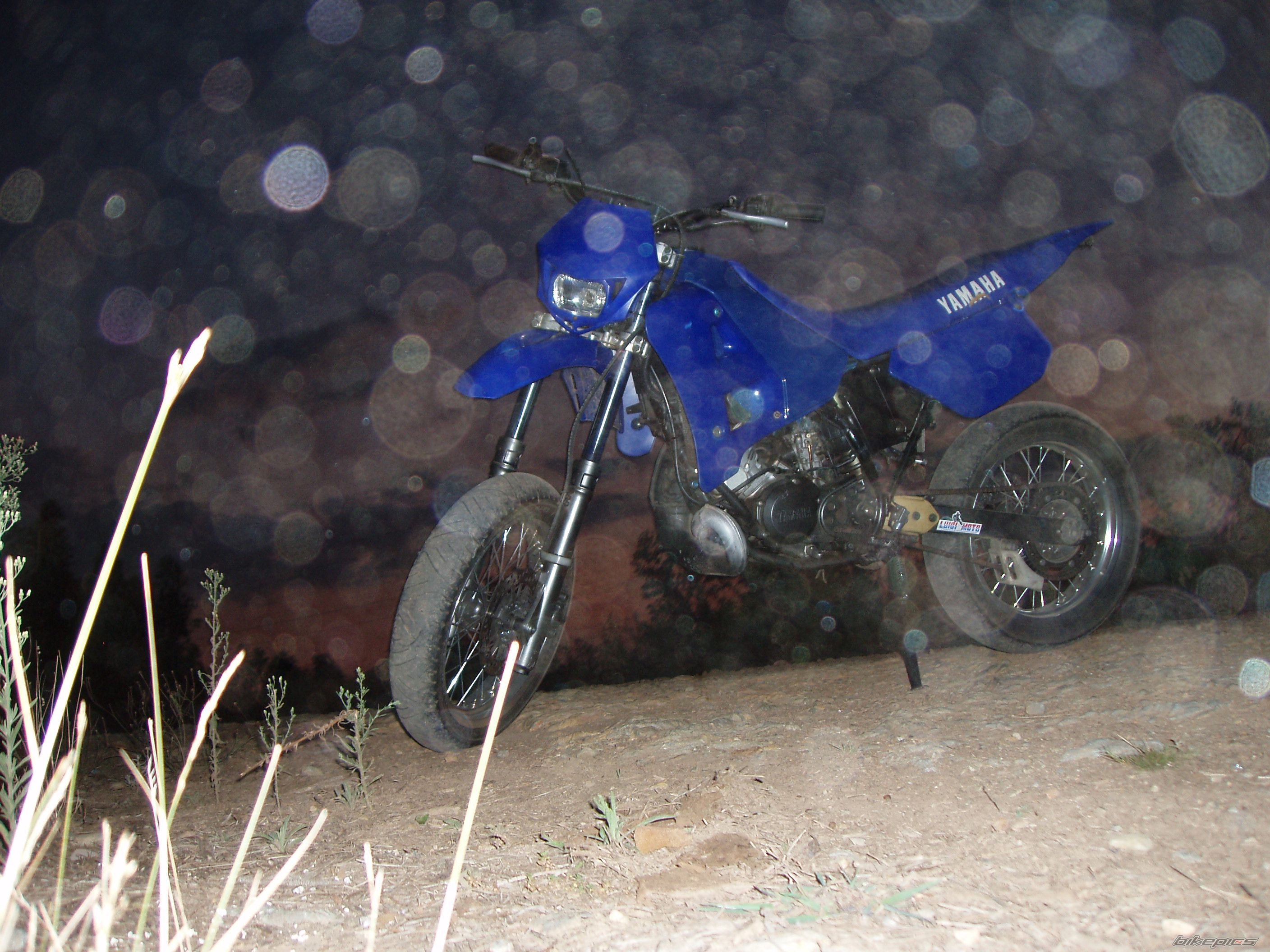 Photo 1120955