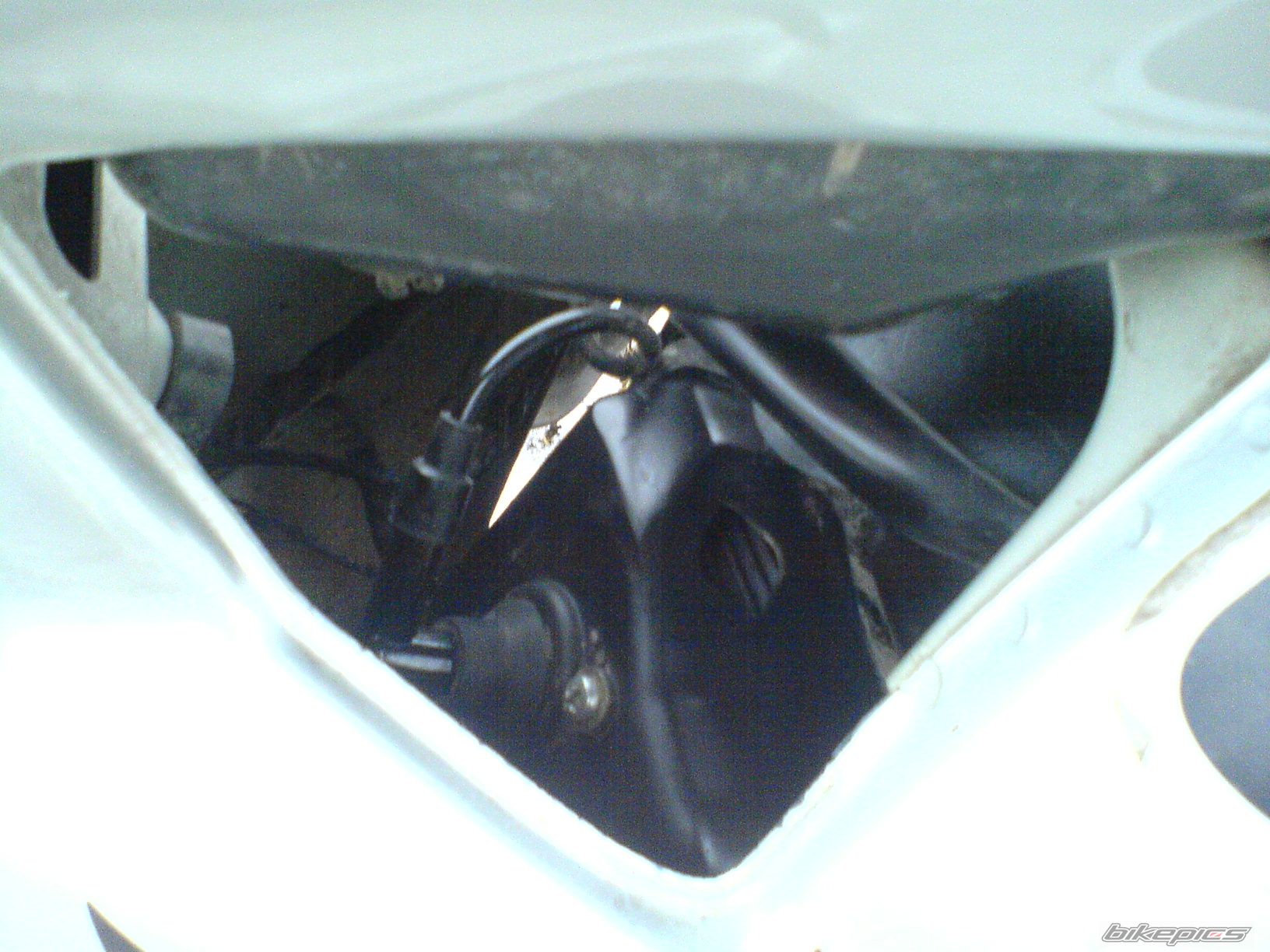 Photo 1121009