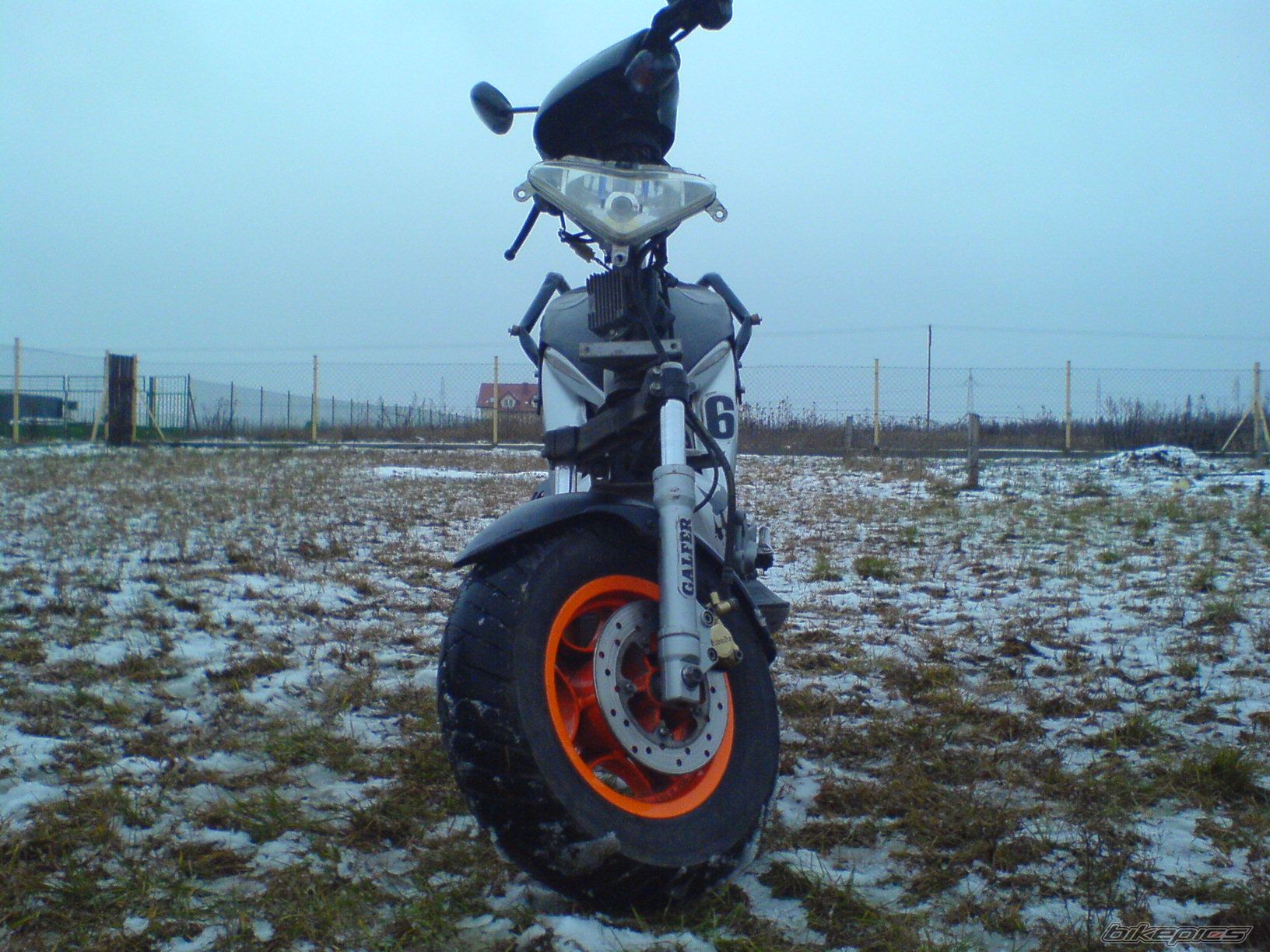 Photo 1121024