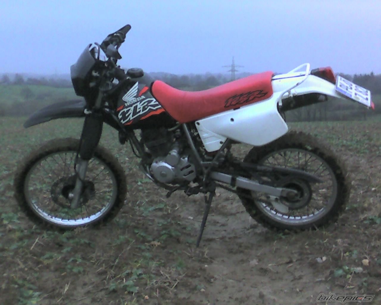 Photo 1121130