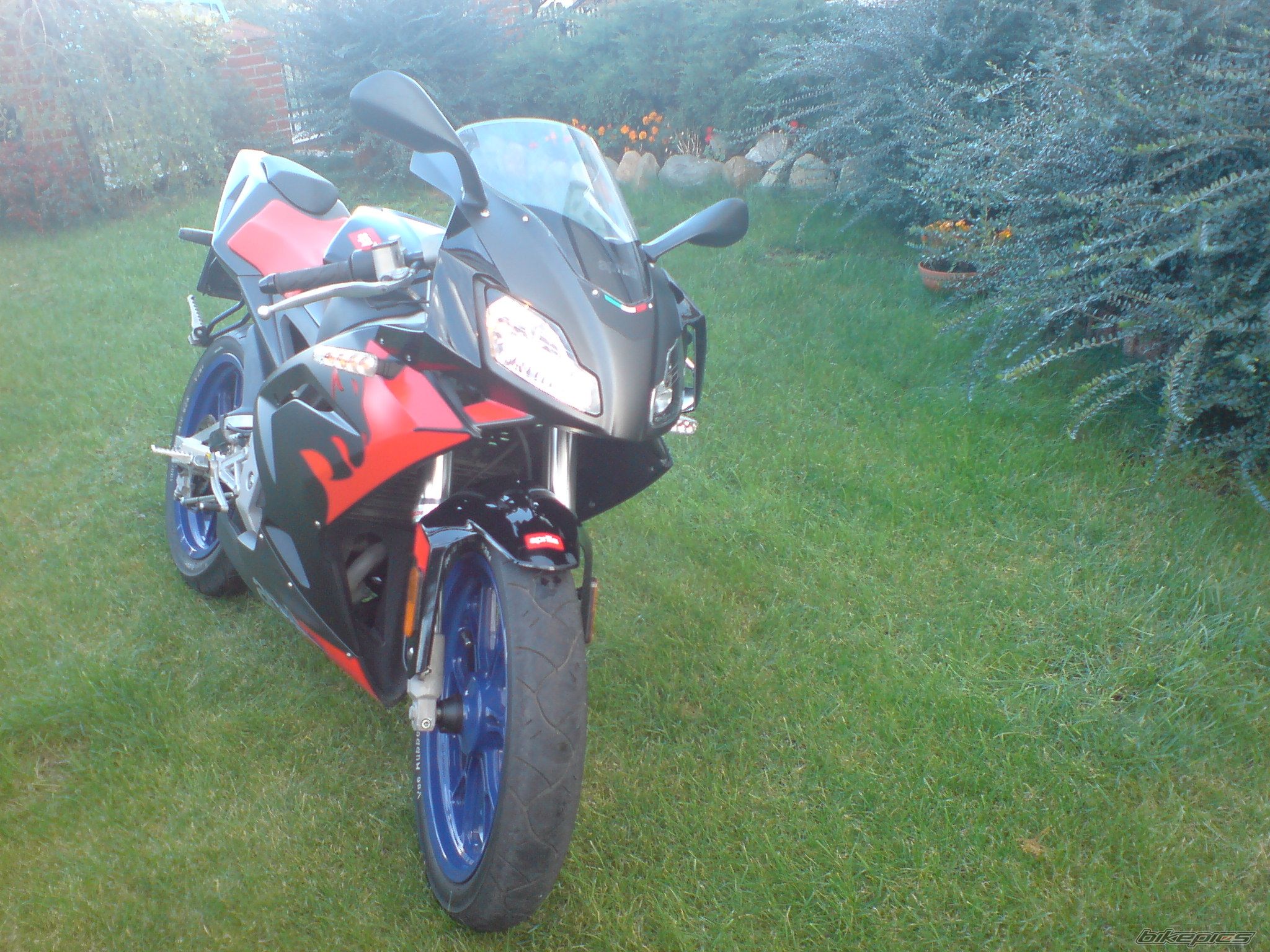 Photo 1121136