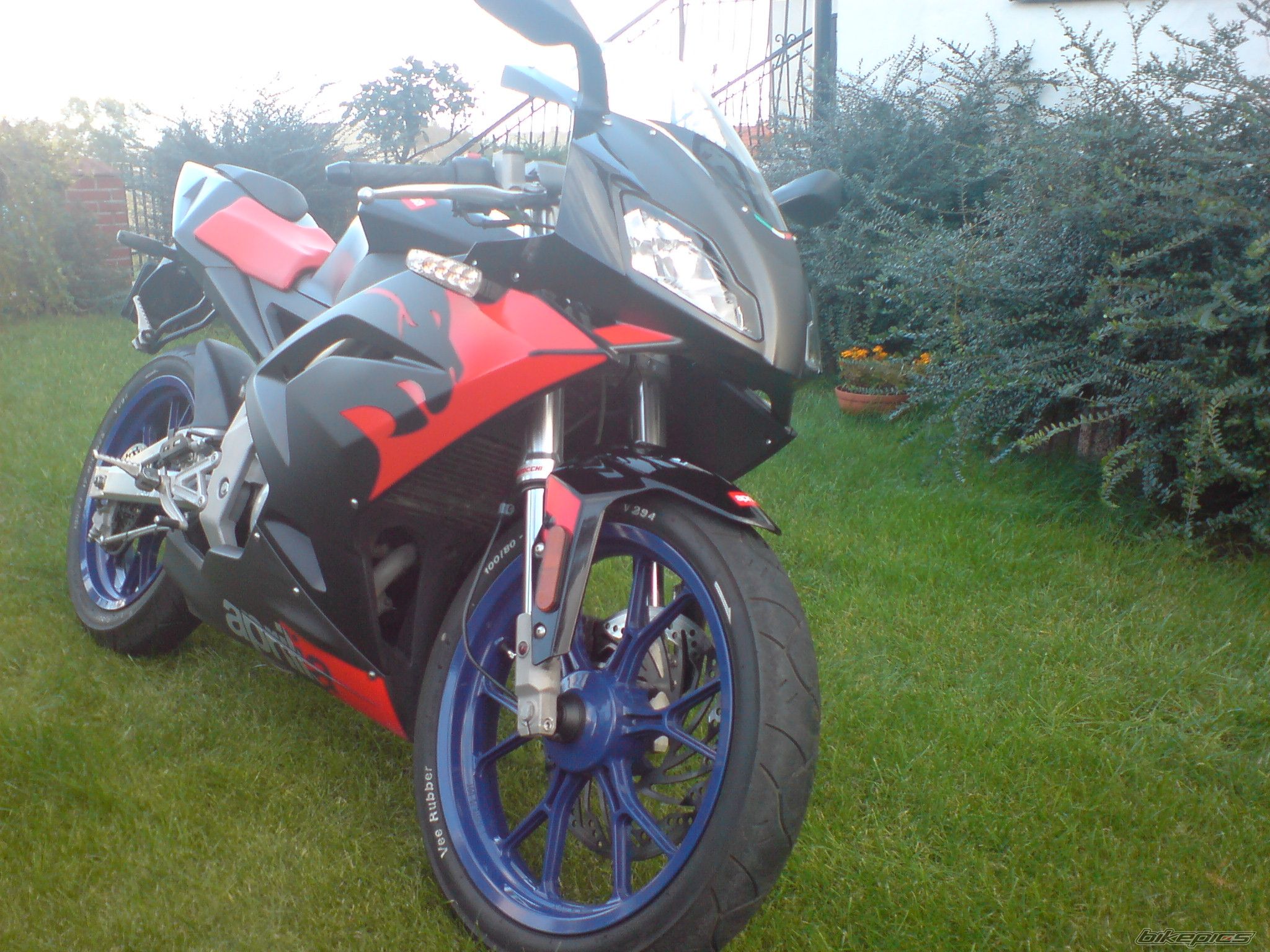 Photo 1121137