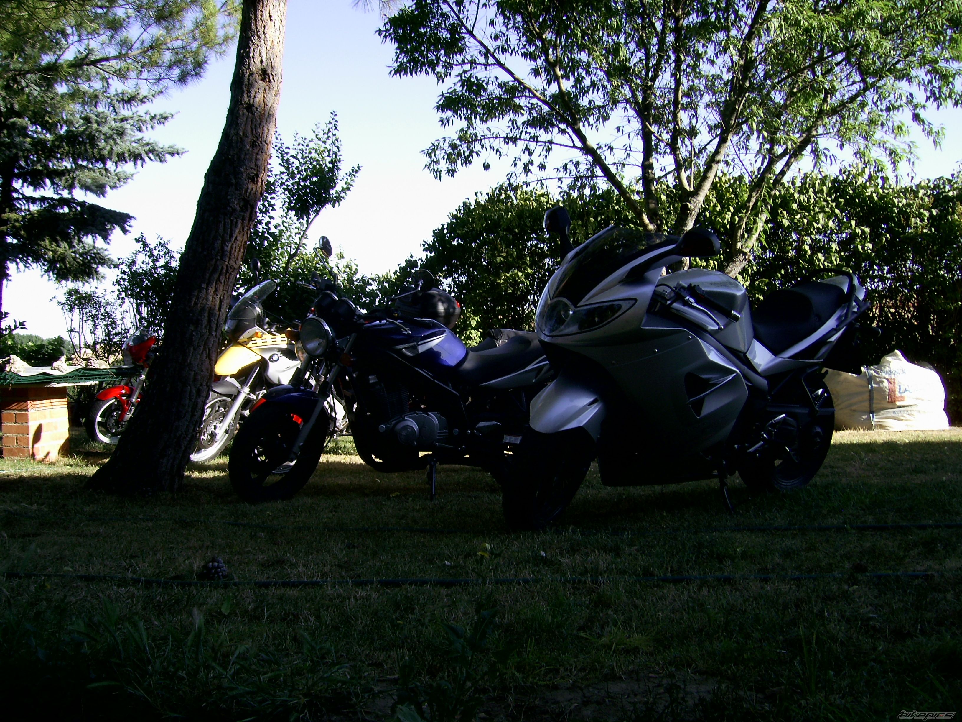 Photo 1121176