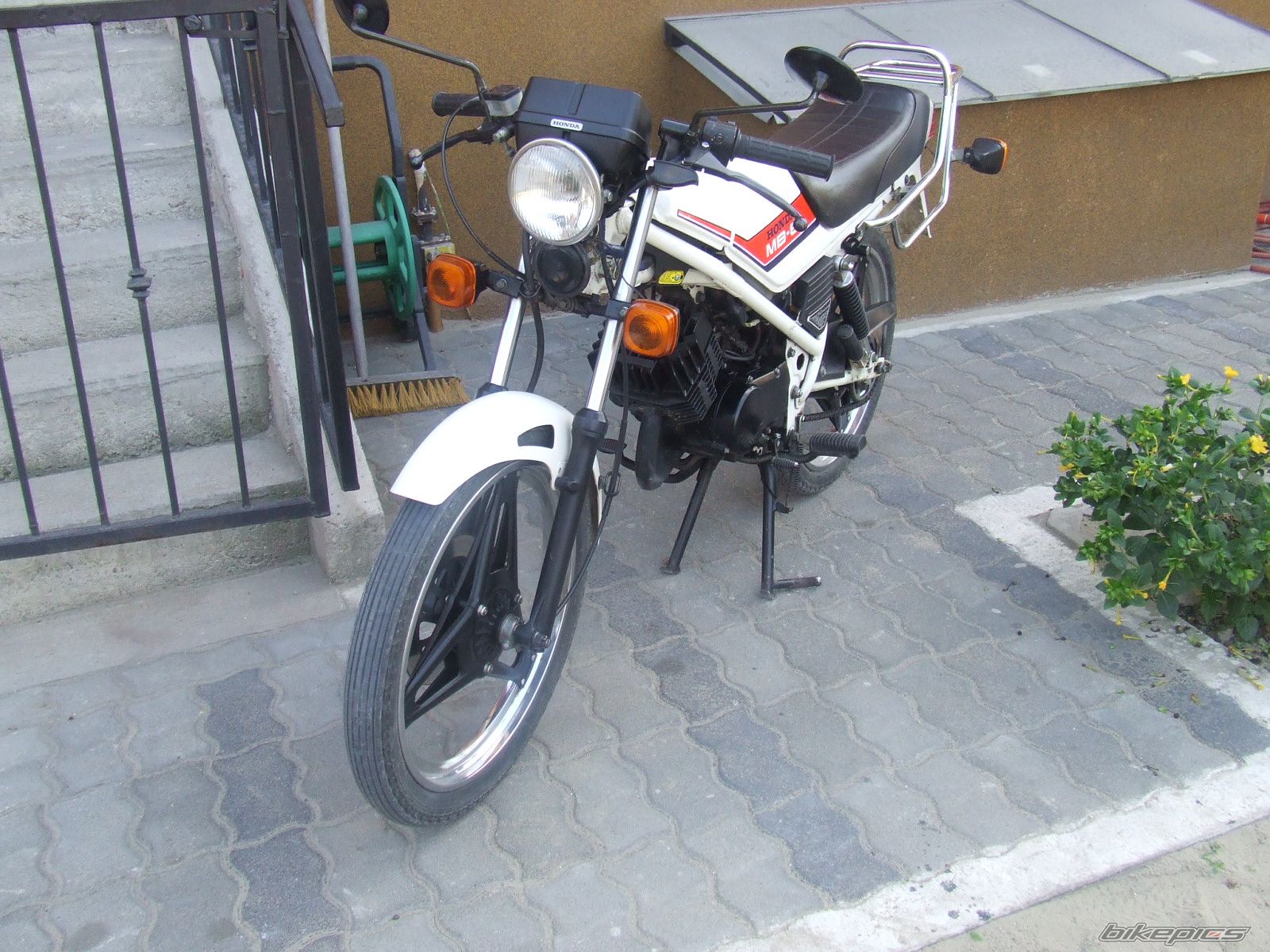 Photo 1121289