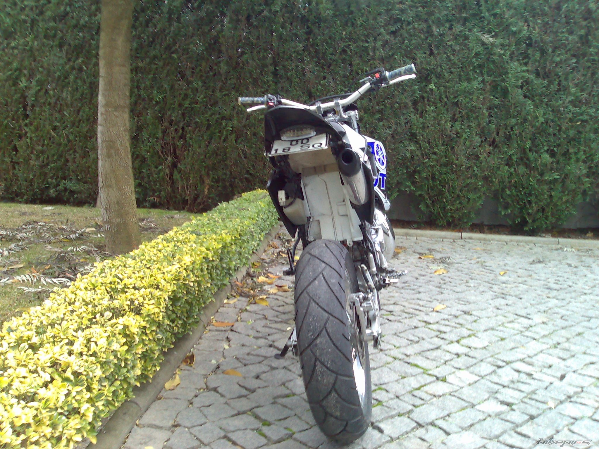 Photo 1121340