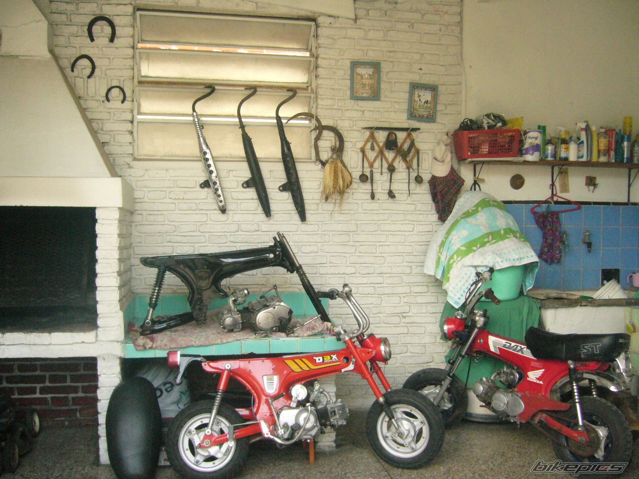 Photo 1121467