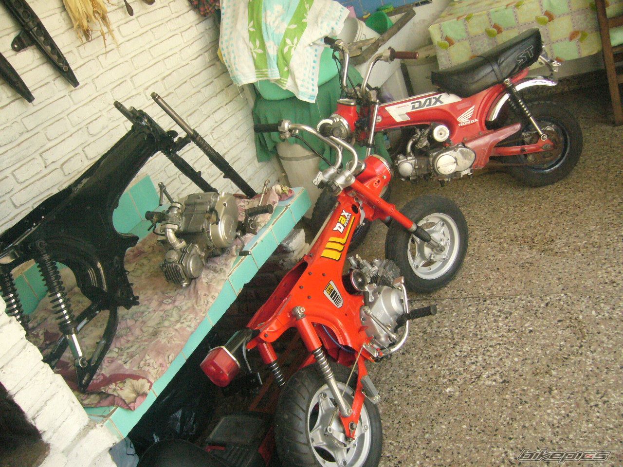 Photo 1121477