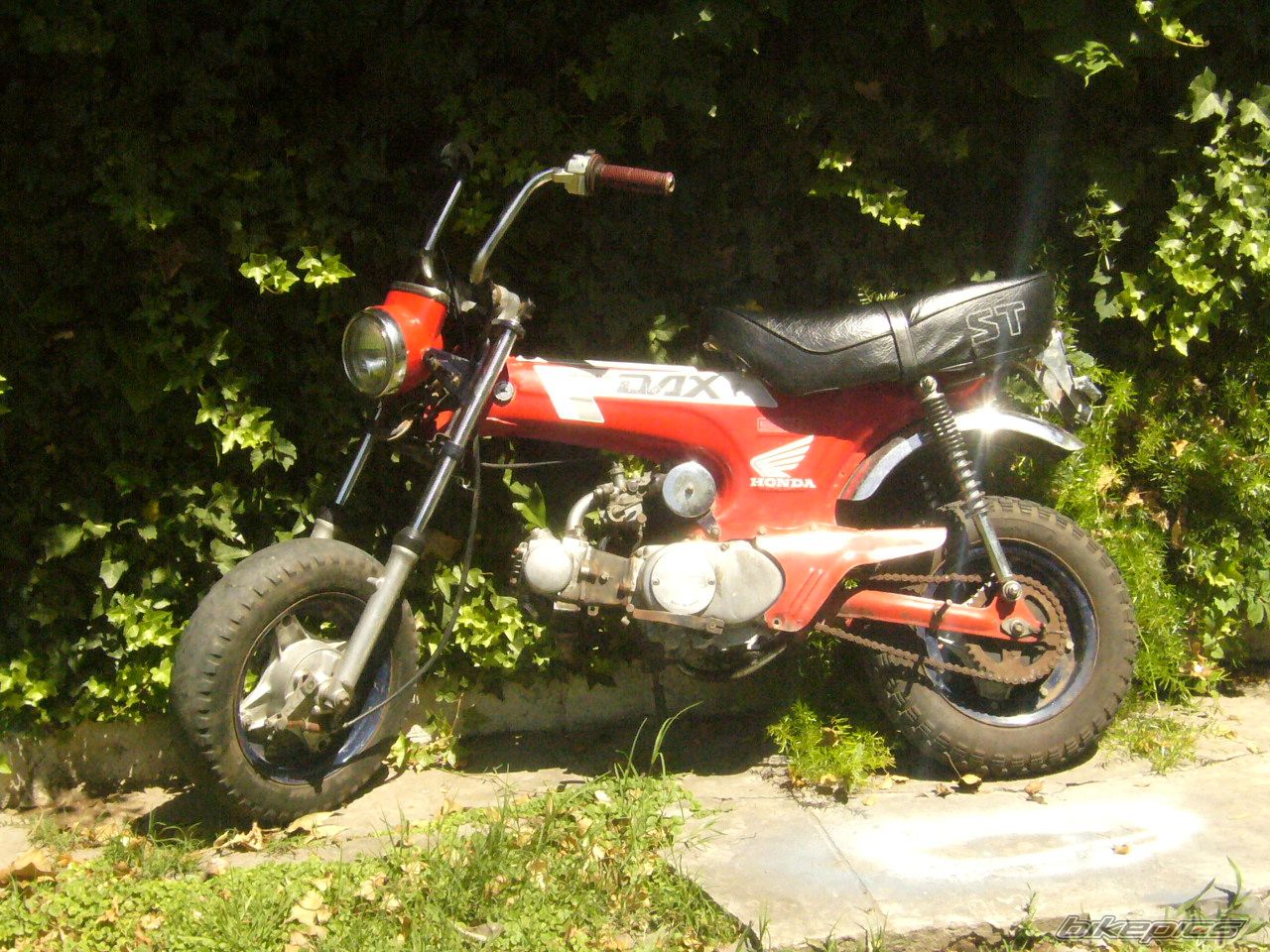 Photo 1121494