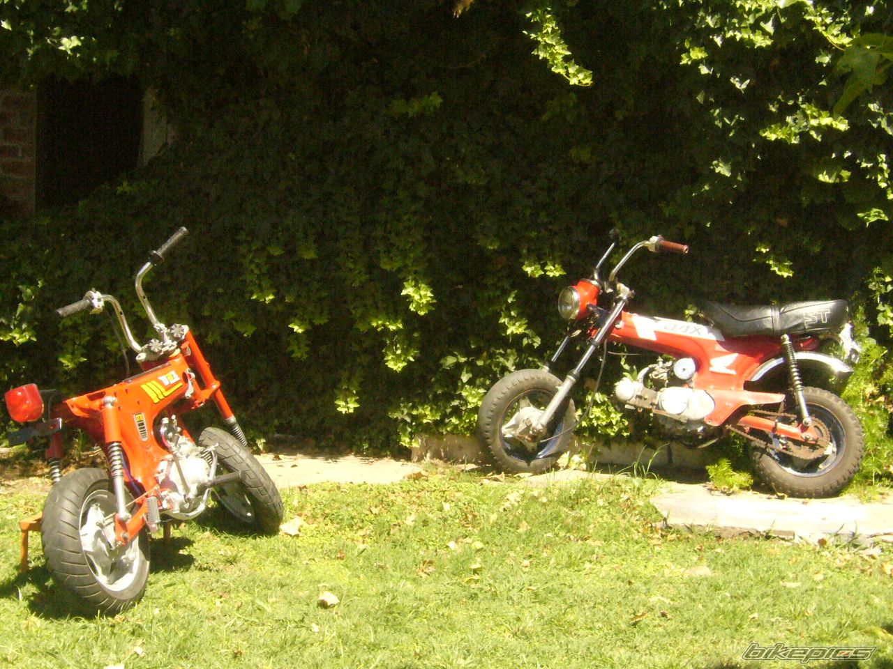 Bike Photo 1121499