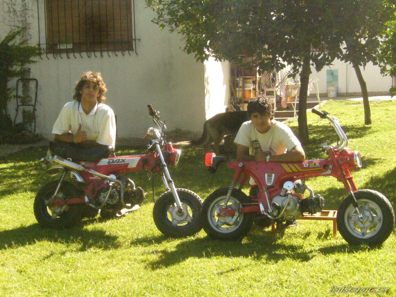 Bike Photo 1121507