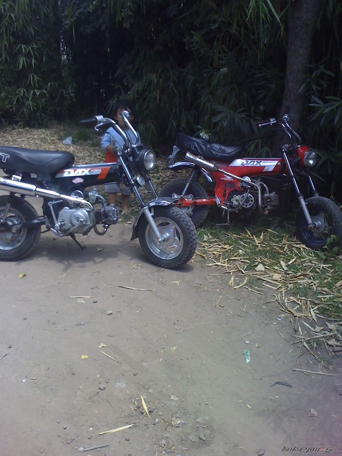Photo 1121514