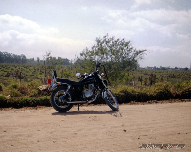 Photo 1121595