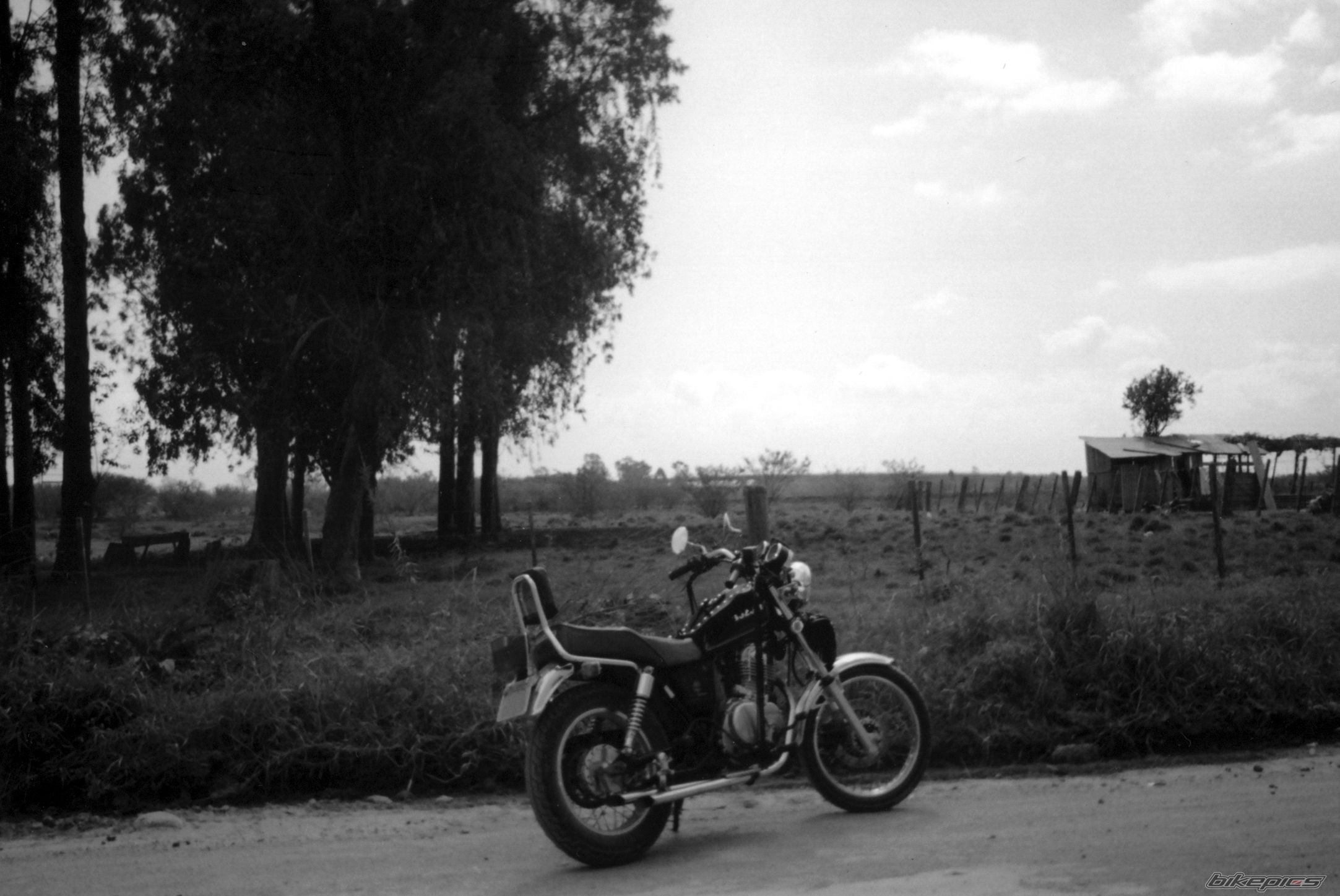 Photo 1121601