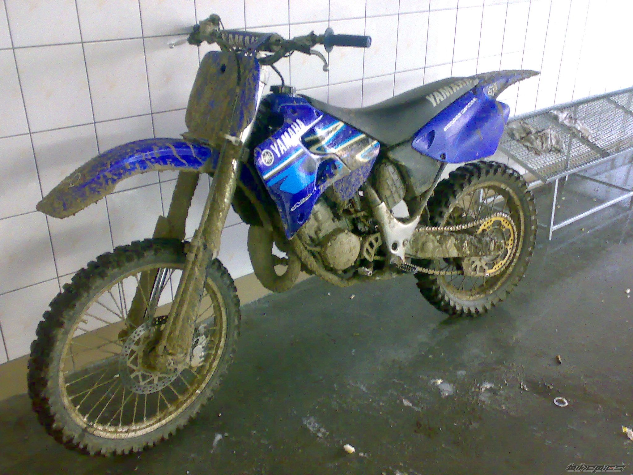 Photo 1121878