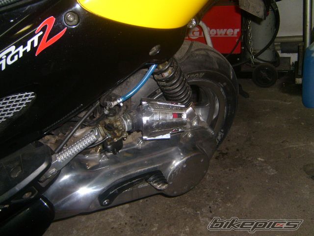 Photo 1121880
