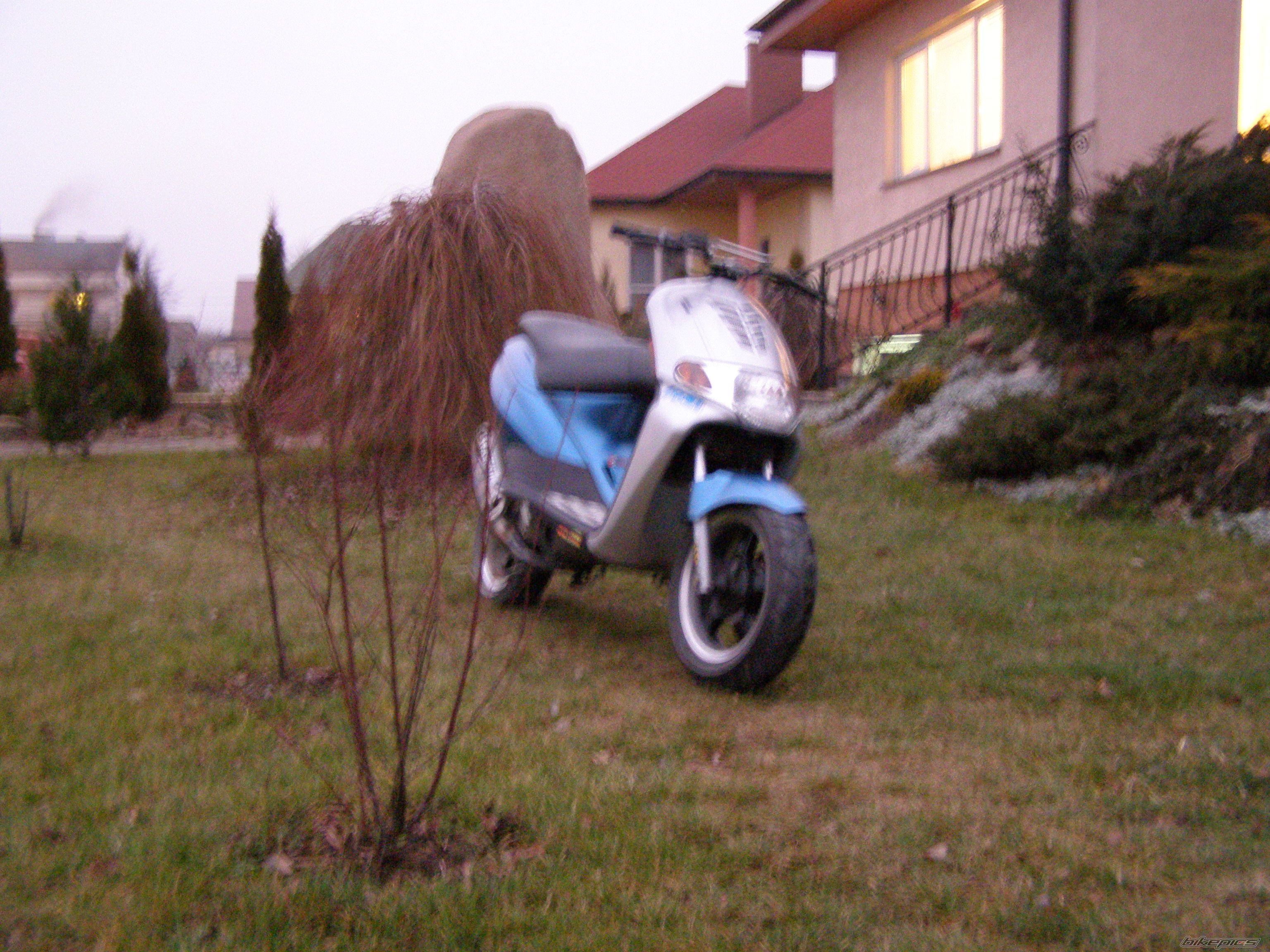 Photo 1122130