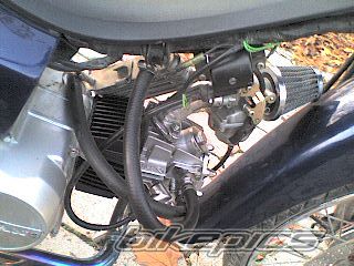 Photo 1122191
