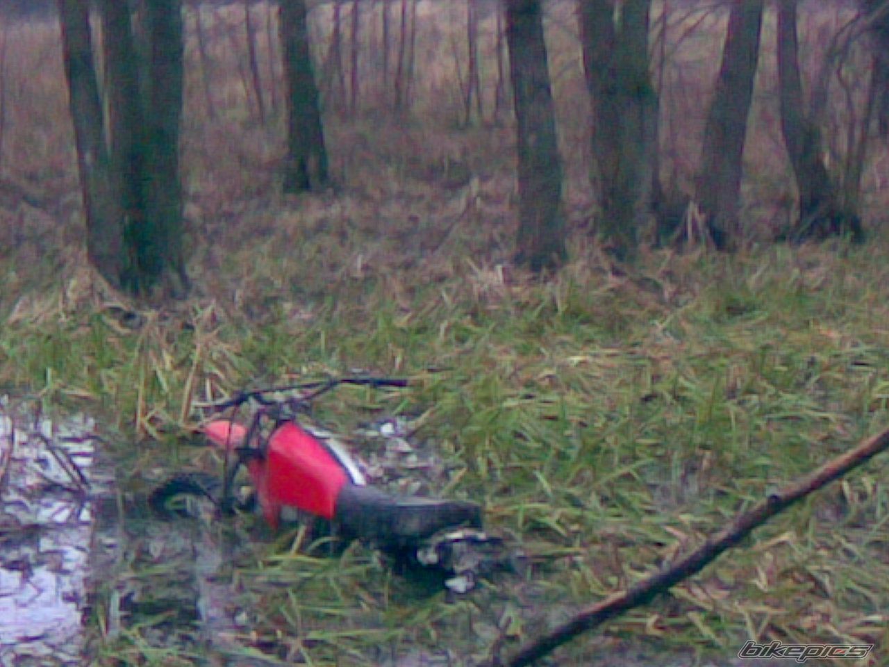 Bike Photo 1122230