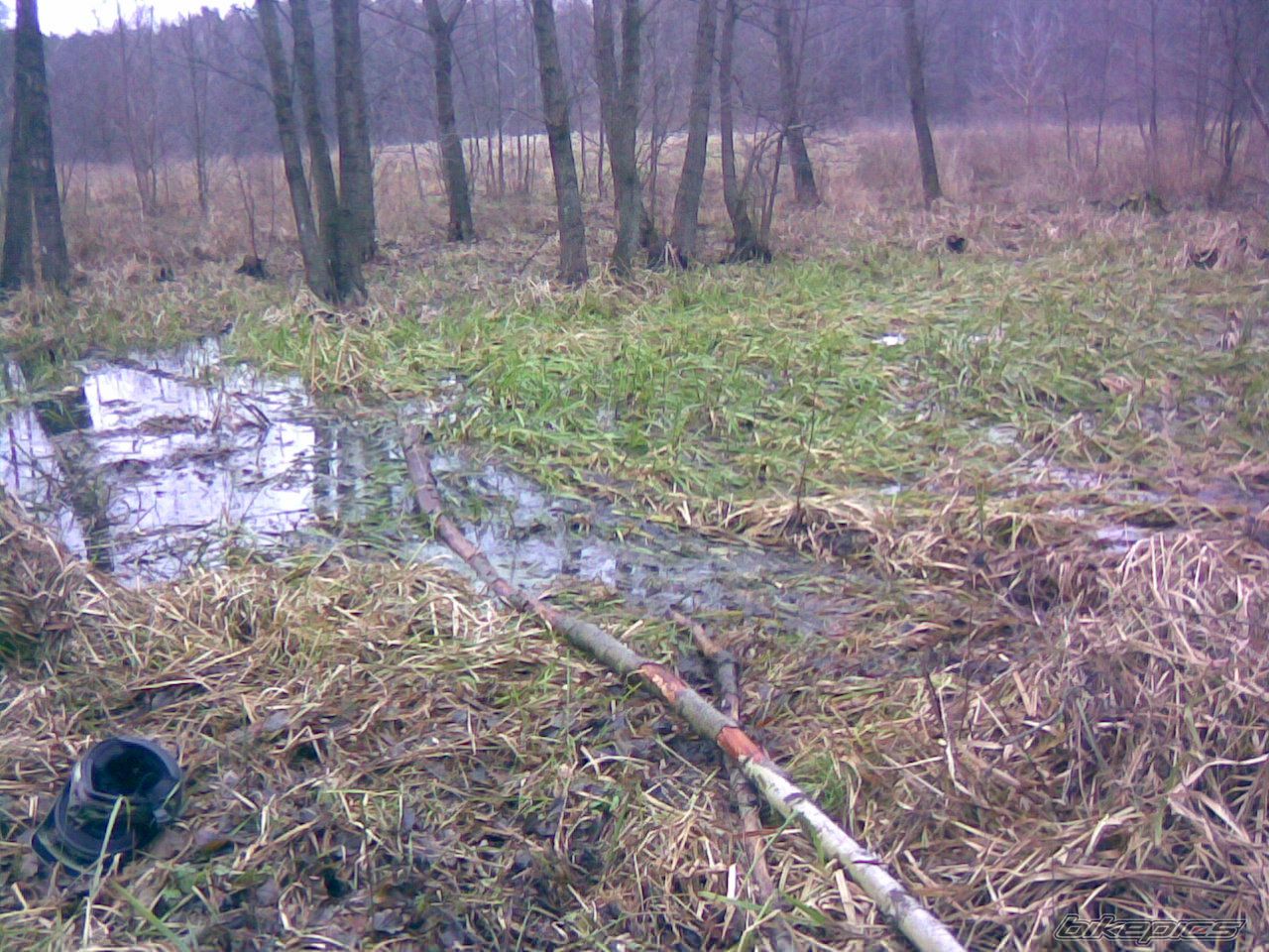 Photo 1122233