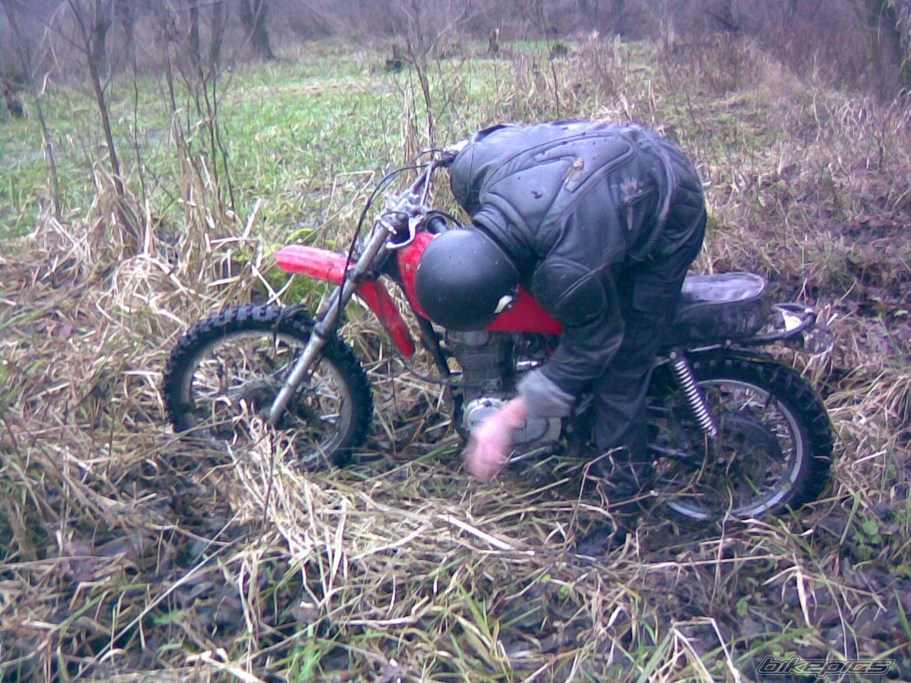 Photo 1122234