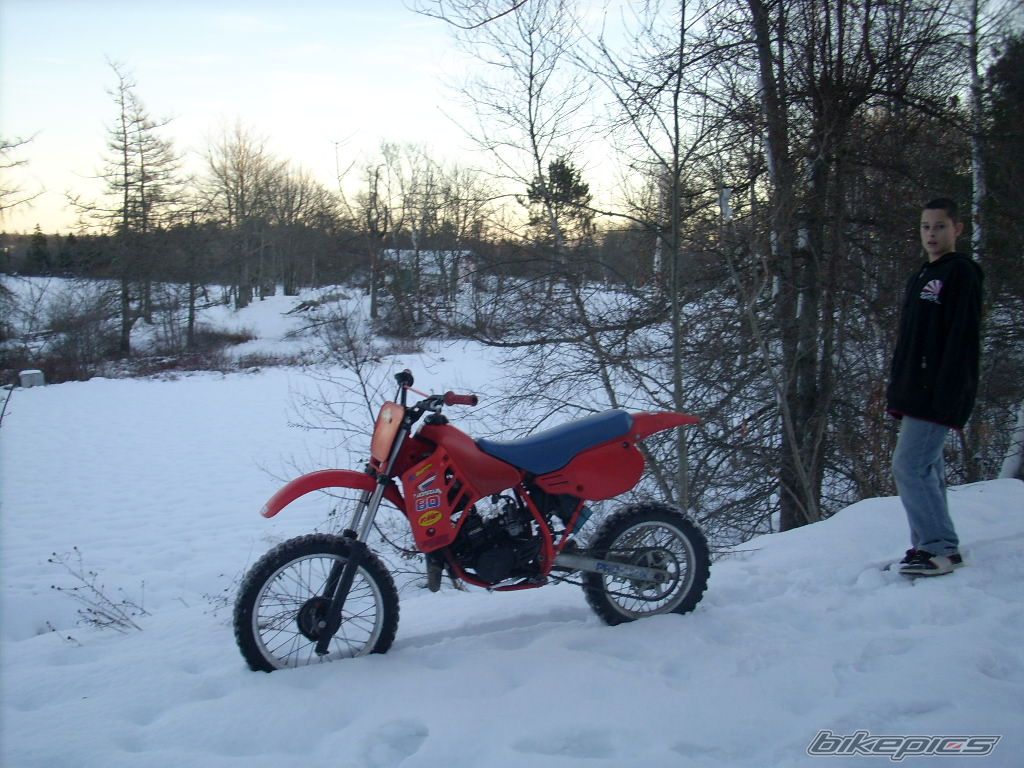 Photo 1122246