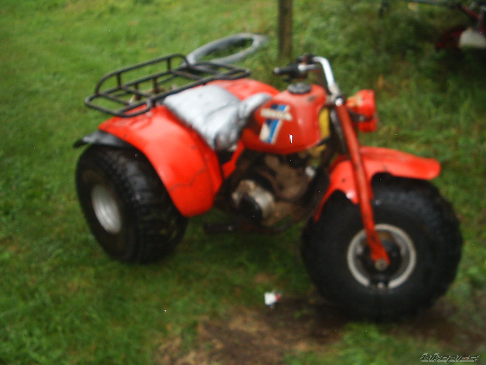 Photo 1122259