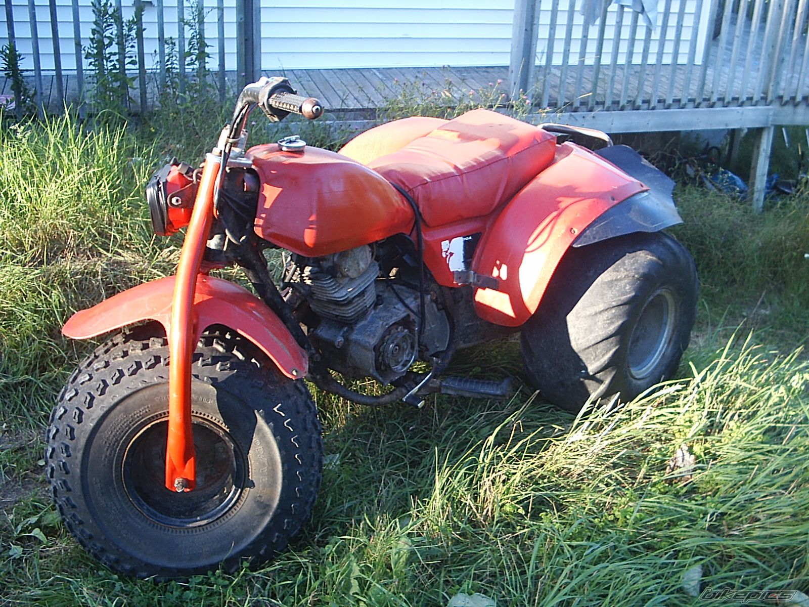 Photo 1122269