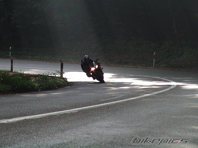 Photo 11224