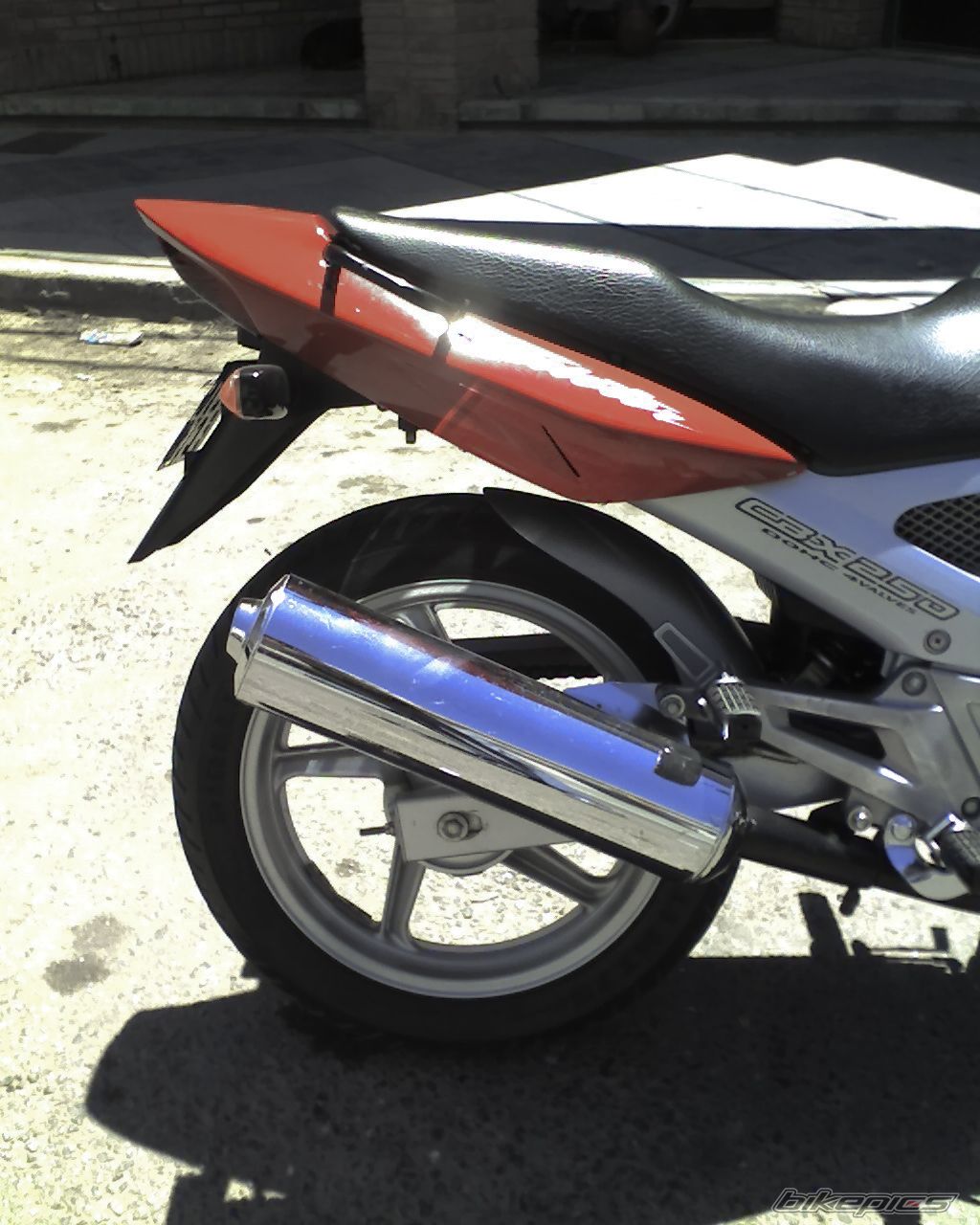 Photo 1122426