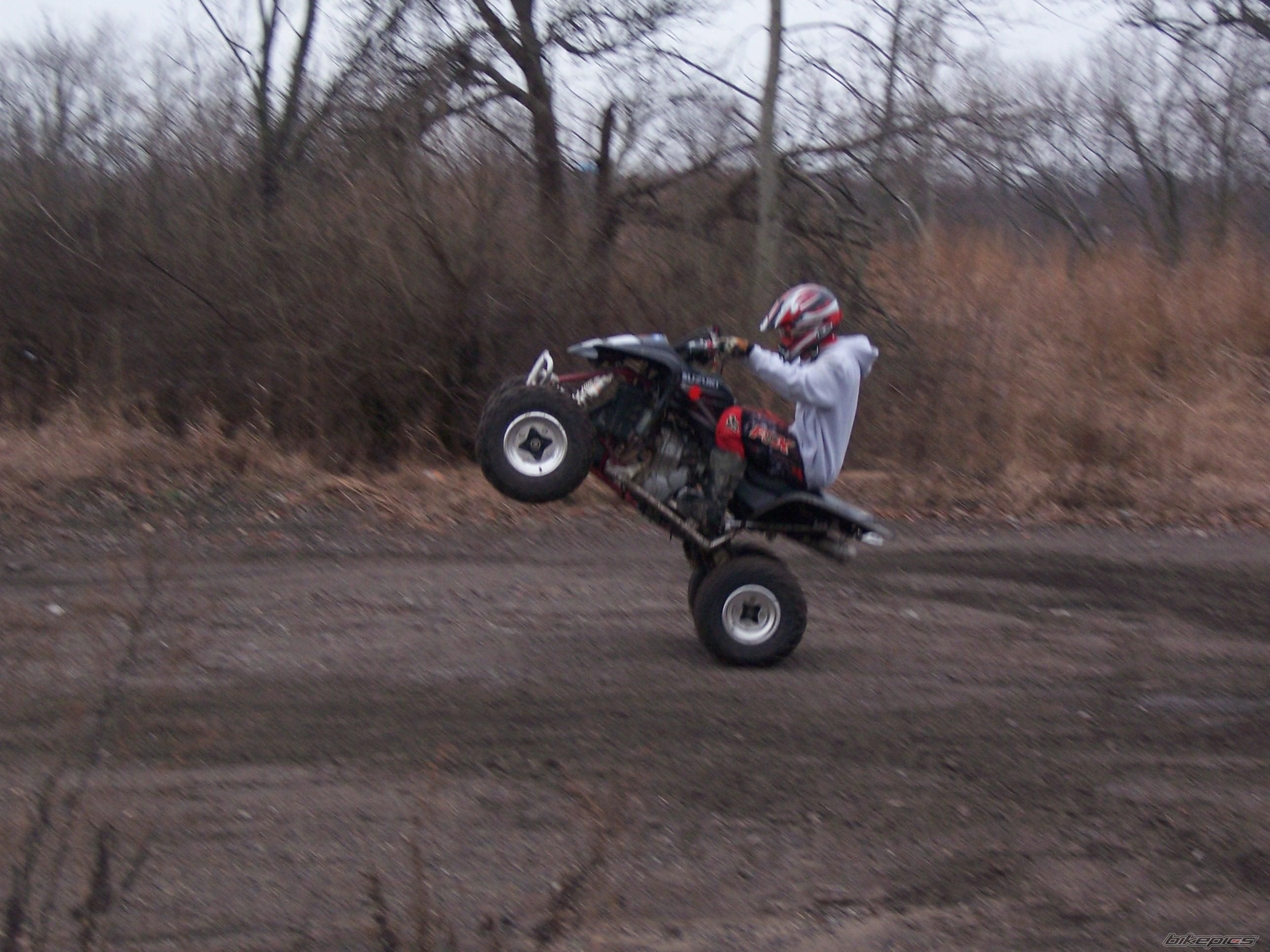 Photo 1122448