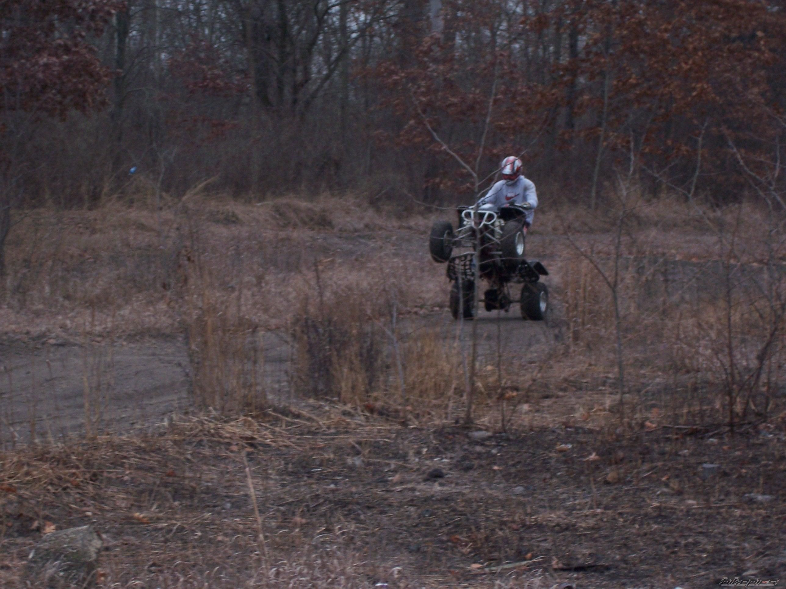 Photo 1122449