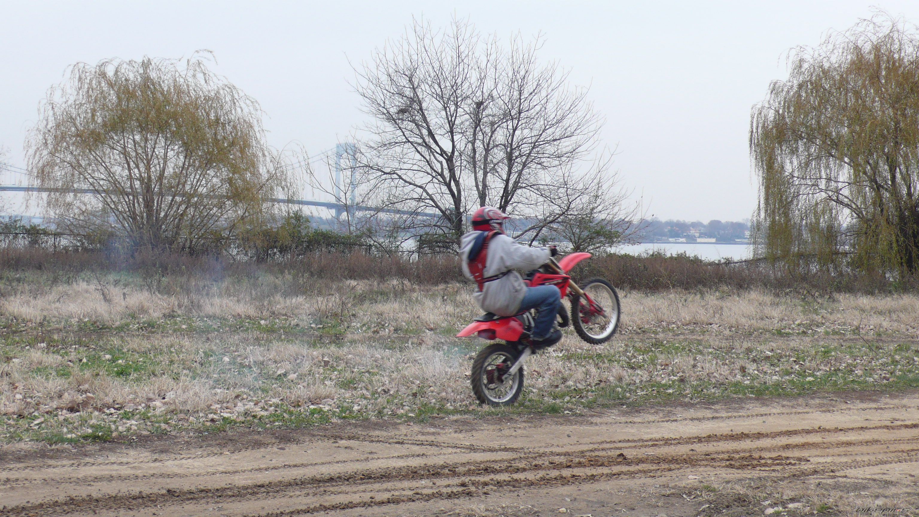 Photo 1122481