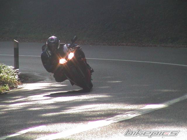 Photo 11225