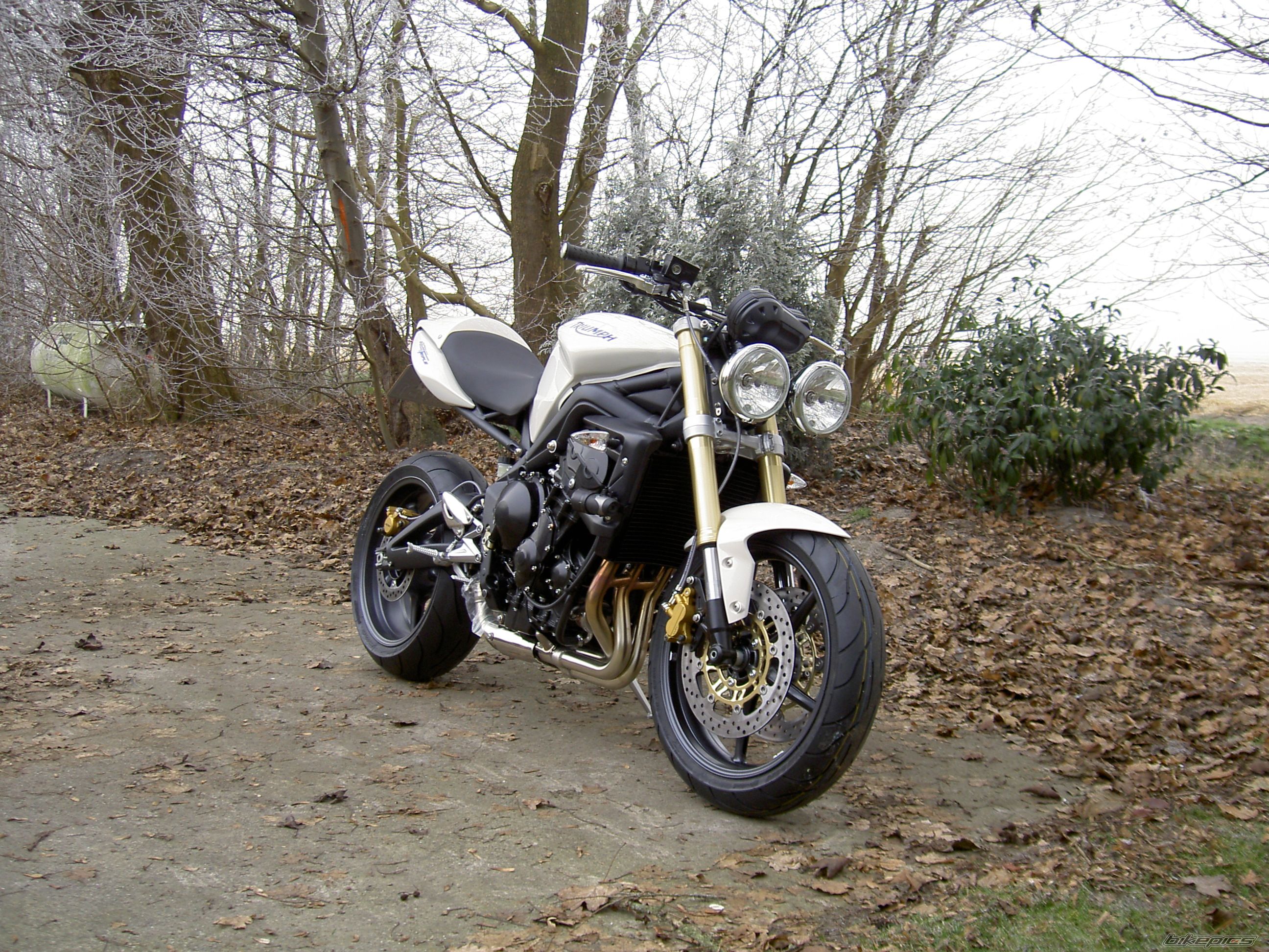 Photo 1122648