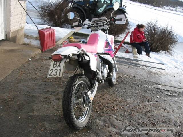 Photo 112273